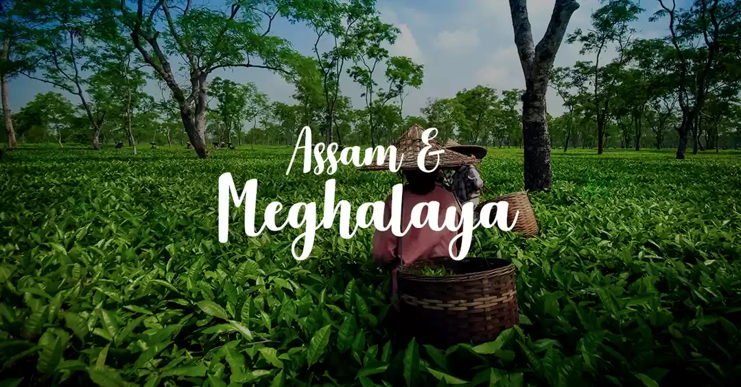 5-days Magical Shillong and Guwahati Tour Package 