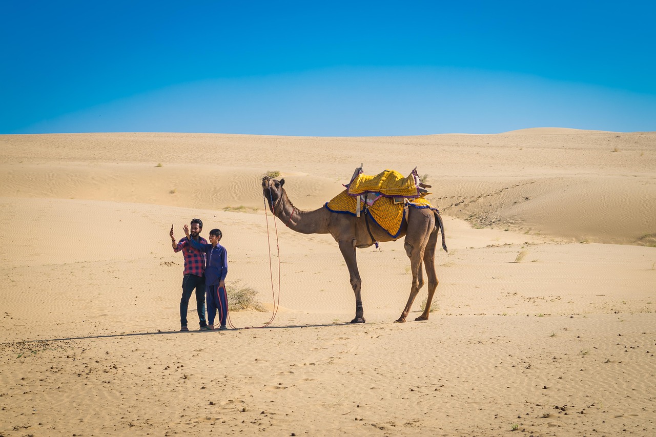 7-Day Rajasthan Wildlife & Desert Tour: Jaipur, Ranthambore, Pushkar, Jaisalmer & Jodhpur