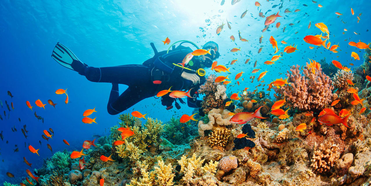 Andaman Island Trip Package - Snorkeling at Elephant Beach - 7 Nights / 8 Days