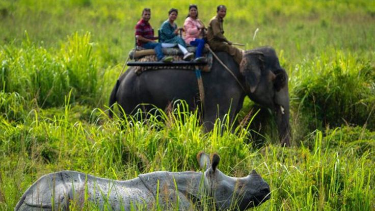 9 Days Majestic Arunachal & Pobitora Wildlife Escape 