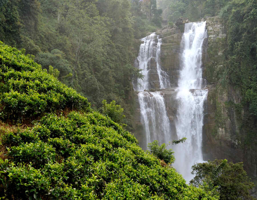 15 Days Meghalaya and Arunachal Tour with Ziro Valley