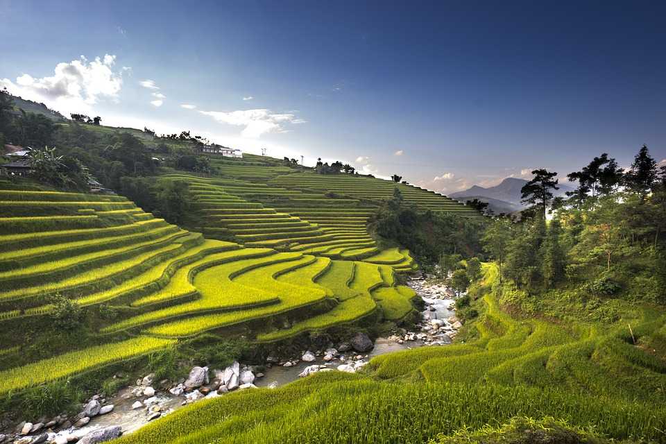 Tour Package to Darjeeling, Gangtok And Lachung -5 Nights - 6 Days 