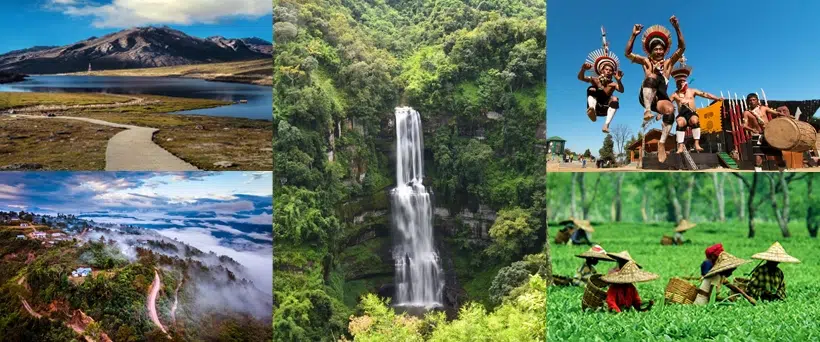 Unleash Seven Sisters Tour covering →Assam – Meghalaya – Arunachal – Nagaland  for 17 D