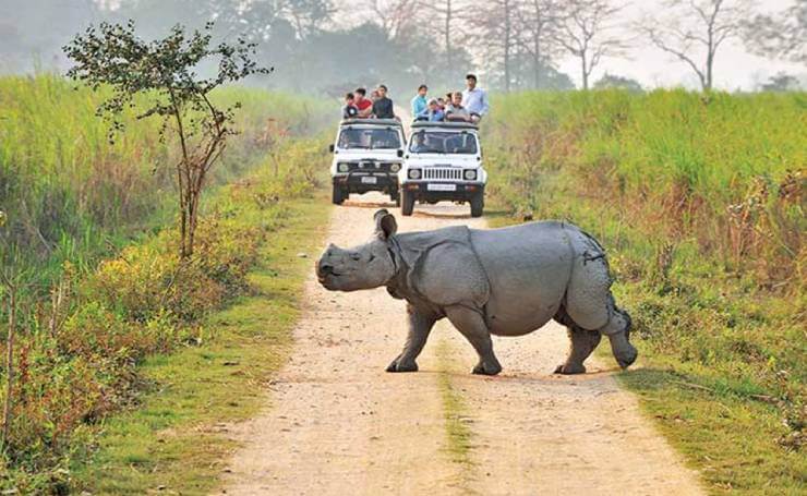 7 Days Trip to Meghalaya with Kaziranga