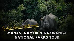 Manas, Nameri and Kaziranga National Park Tour-7D