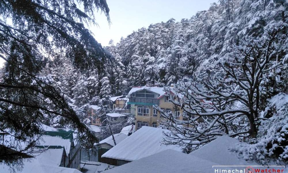 Exotic Shimla And Manali Package