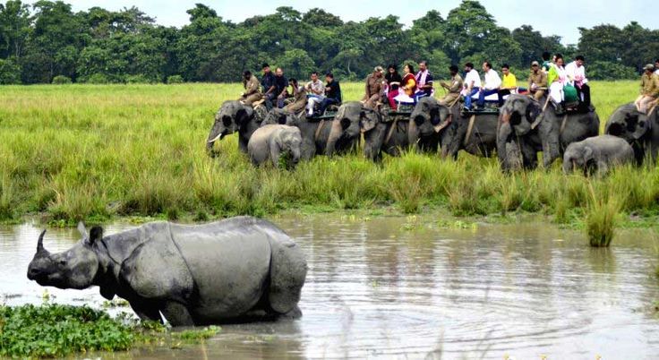 7 Days Kaziranga & Meghalaya Wildlife and Nature Escape