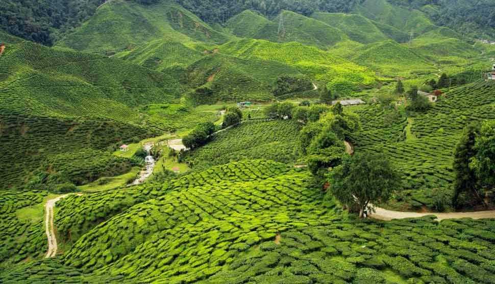 7 Days Assam Holiday Package with Meghalaya