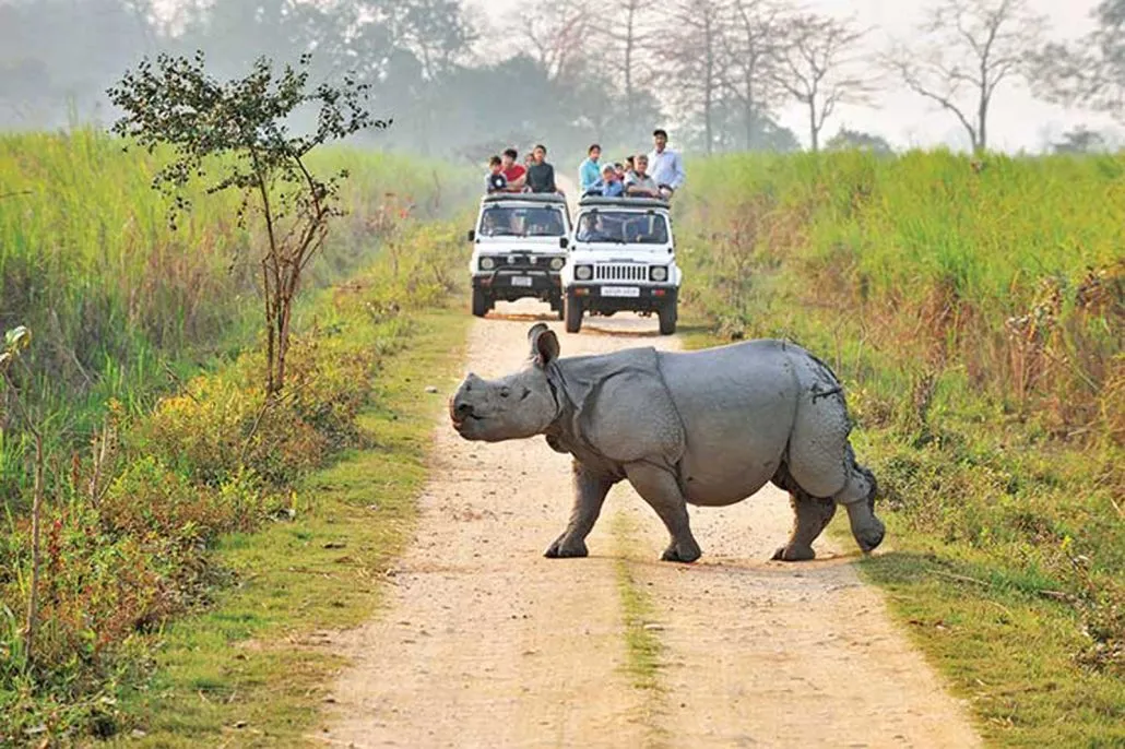 Shillong Tawang Tour Package - Jewels of North East India with Kaziranga & Dirang 9 Nights / 10 Days