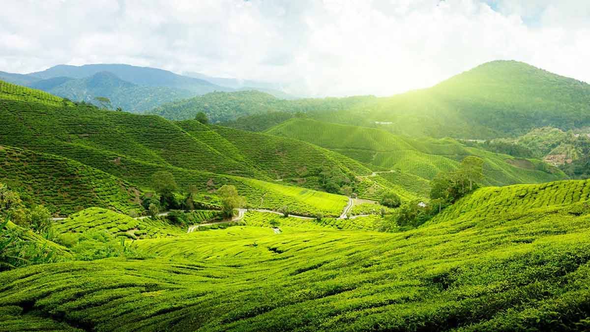 5 Days Kaziranga and Bomdila Tour Package