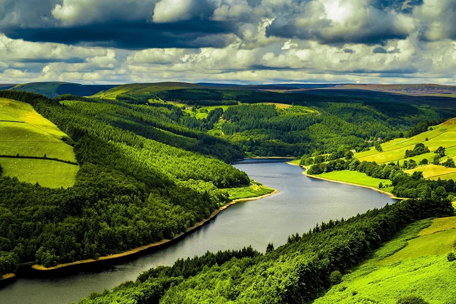 Astonishing Assam Tour Package → 8 D