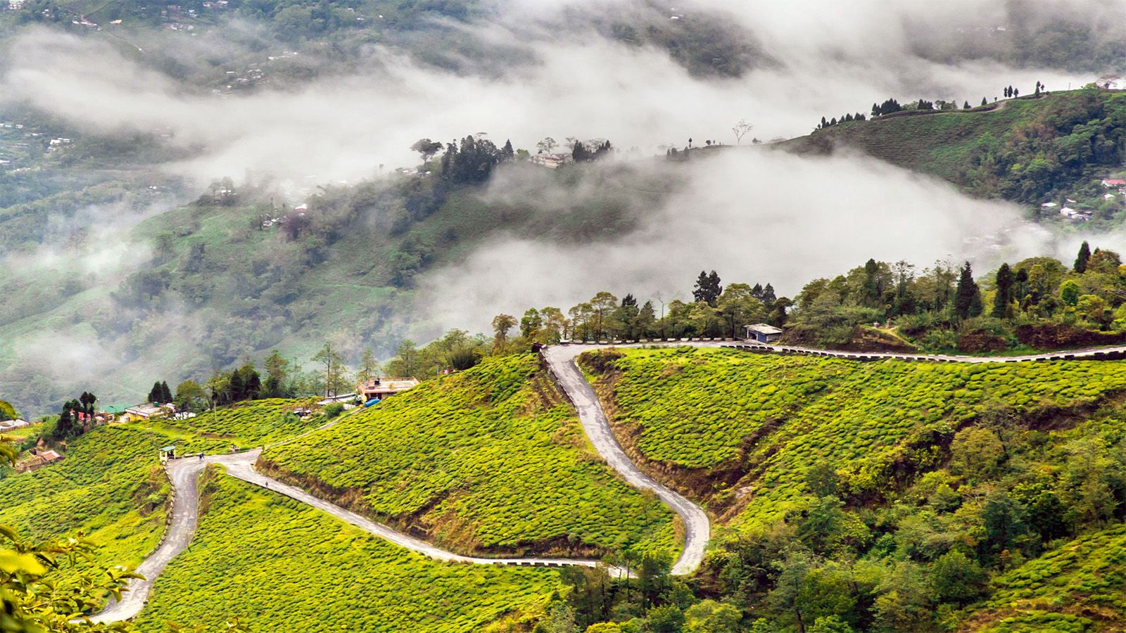 4 Days Darjeeling Tour Package